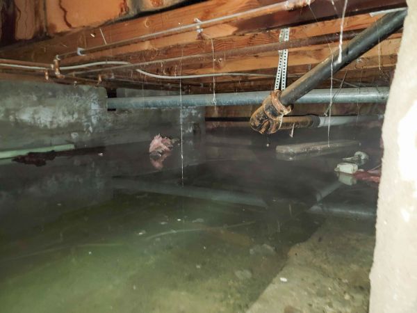Water Mitigation Service in Jackson