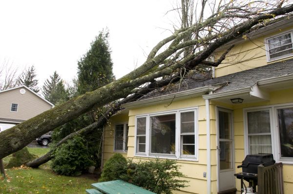 Hurricane Damage Repair in Jackson